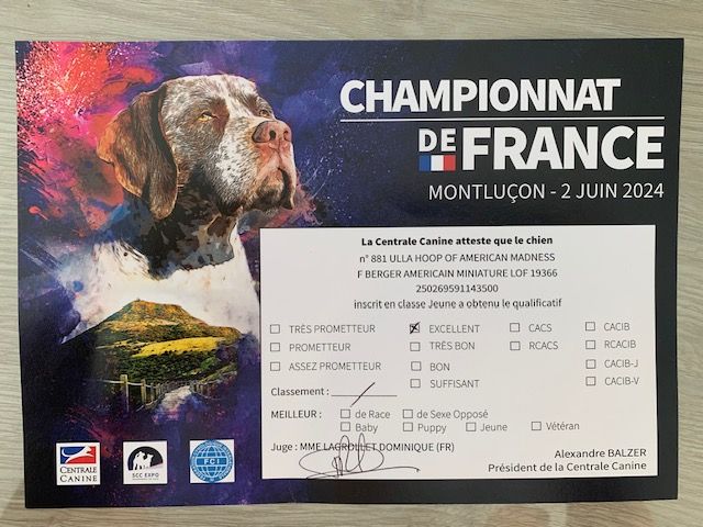 Du Désir De Trust - CHAMPIONNAT DE FRANCE DU CHIEN DE RACE 2024 A MONTLUCON