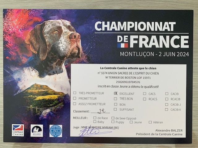 Du Désir De Trust - CHAMPIONNAT DE FRANCE DU CHIEN DE RACE 2024 A MONTLUCON